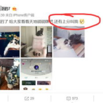 吃瓜出轨网红,揭秘网红出轨风波背后的真相